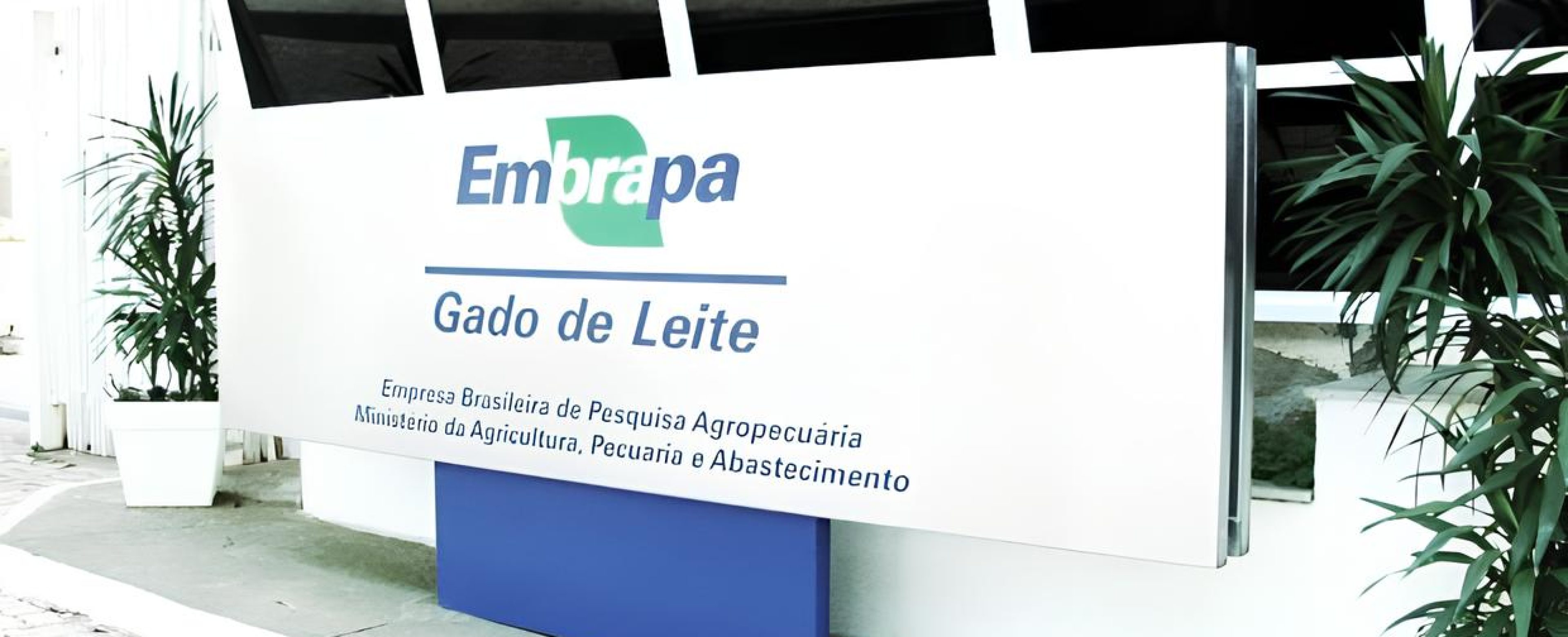 EMBRAPA GADO DE LEITE