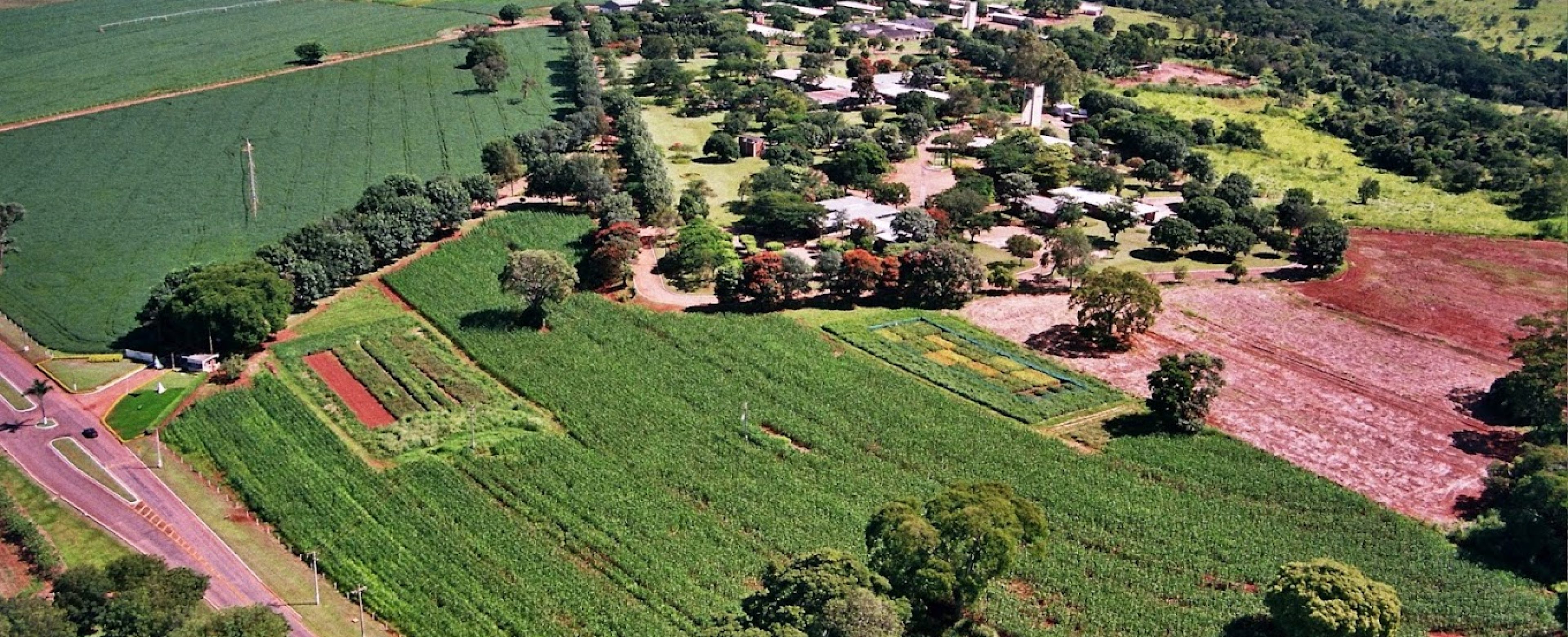 Embrapa Arroz e Feijão