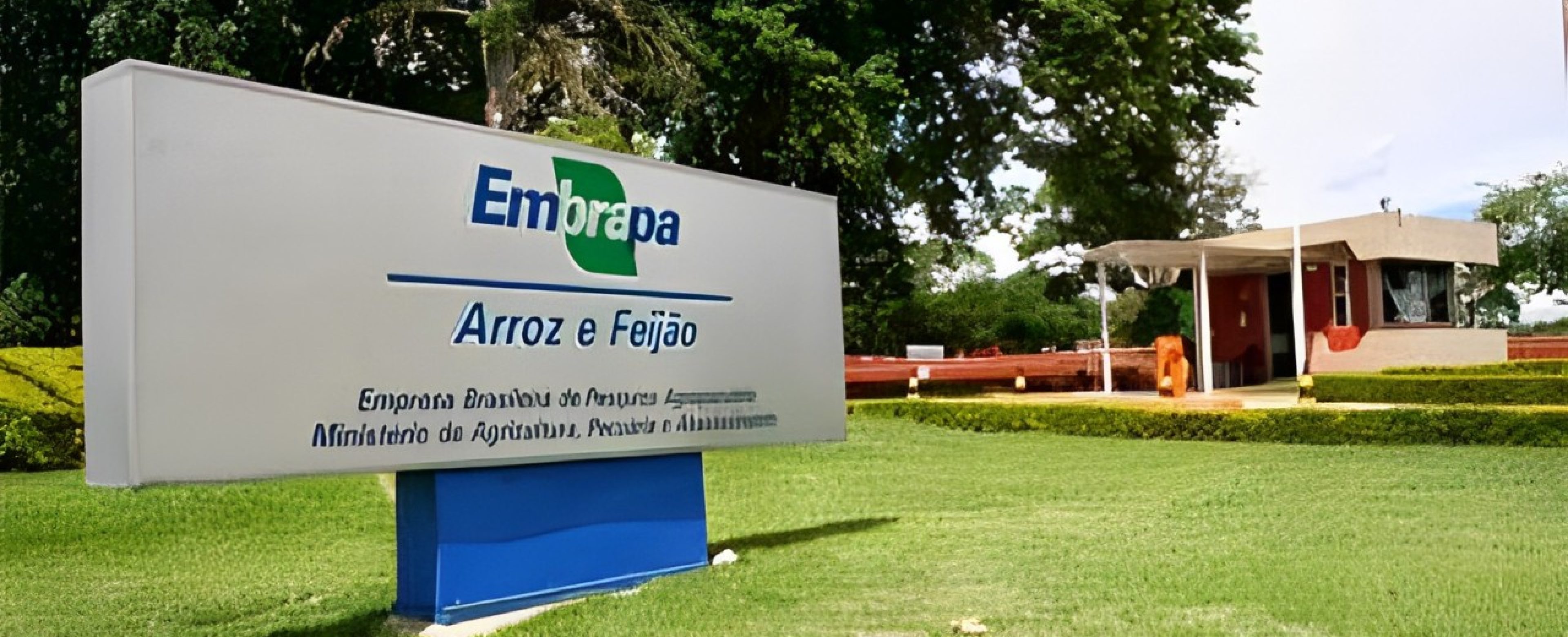 Embrapa Arroz e Feijão